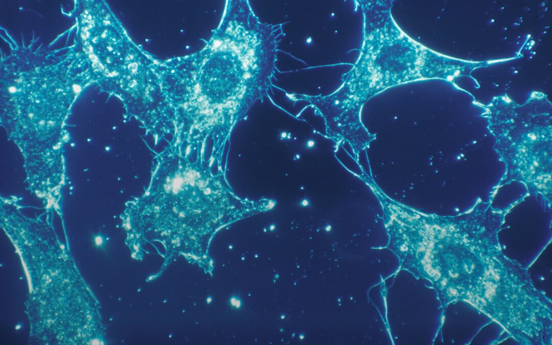 Designing and aligning on strategic direction for complex Veteran oncology services